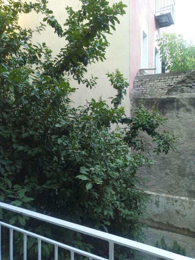 New Apartment With A Separate Entrance Near The Subway. Athens Exterior photo